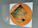 SLAYER lim. numbered Picture Vinyl LP Hell Awaits (1985 Metal Blade Records USA)