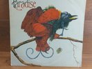 Paradise Rare Album Ebony Records EB701  Reggae Funk Soul Vinyl 1980 Record