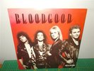 Bloodgood . Rock In A Hard Place . Christian Hard Rock / Metal . Record LP