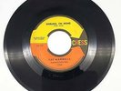 The Mandells Darling, I'm Home / Who, Me? 45 RPM Single Record Chess 1961 1794