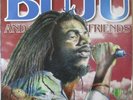 BUJU BANTON And Friends 2 x VINYL LP