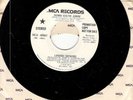 Lynyrd Skynyrd, Down South Jukin'; Promo 7
