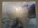 LP Kimi no Na wa (Your Name) Vinyl RADWIMPS 12 inch Limited Edition
