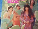 Shocking Blue 