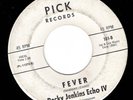 Garage Soul 45 ROCKY JENKINS ECHO IV Fever / Mr. Bassman PICK Promo HEAR
