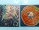 WAX VESSEL The Heartland – Frontier Vinyl Record LP RARE /50 Wax Mage nebula