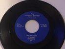The Sequins *Try my Love/ He’s Gonna Break Your Heart * Detroit Sound Label *45*