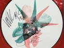 ALICE IN CHAINS HAND SIGNED DEVIL PUT DINOSAURS HERE PICTURE DISC JERRY CANTRELL