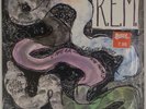 REM: Reckoning US IRS Orig Shrink Vinyl LP R.E.M. Rock VG++