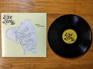 The True Loves - Famous Last Words *VINYL* /100
