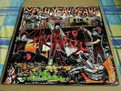 Yeah Yeah Yeahs - Fever To Tell. Vinyl LP, reissue inc inserts+inners. Dress Up
