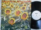 SUNNYBOYS Individuals LP WL PROMO Test Pressing?? MUSHROOM AUSTRALIA   VERY RARE