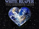 White Reaper - You Deserve Love [VINYL]