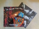 The Mekons - The Mekons Rock N Roll - German Import LP + Insert (1905)