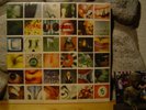 PEARL JAM No Code LP/STILL FACTORY SEALED ORIGINAL 1996 US EPIC LABEL PRESSING
