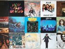 AC/DC, Molly Hatchet, Roxy Music u. andere 15 div. Vinyl LPs