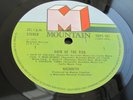 Nazareth HAIR OF THE DOG 1975 UK LP 2nd MOUNTAIN   SUPERB MINT AUDIO / NM SLEEVE