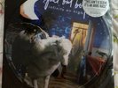 Fall Out Boy Infinity On High LP VINYL NEW Picture Disc first issue 2007 Rare