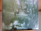 Fresh Maggots / Hatched / 2 LP / Reissue Sunbeam Records  / Mint