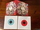 Jamie T Shiela - Gatefold Vinyl Both Discs Northern Line & Down To The Subway