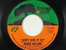 70s Soul 45 - Blood Hollins - Don't Give It Up - Strange Fruit - VG++ mp3