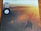 Saves The Day Stay What You Are 2017 Pressing NM Vinyl Vagrant 20 Years