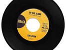 Bush - To Die Alone/Don't You Fret 7
