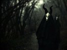 White Ward - Futility Report LP