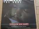 Ice Cube Featuring DAS EFX Check Yo Self 12