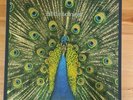 The BLUETONES Expecting To Fly Ltd Blue Vinyl 3LP Plus Demo EP Boxset Mint