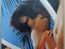 CAETANO VELOSO - 