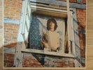 The rolling stones LP The stars in the Sky they Never lie