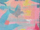 Raw Poetic & Damu The Fudgemunk : Laminated Skies VINYL 12