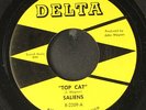 SALIENS : top cat / sticky DELTA 7