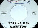 CASSIDY SISTERS WORKING MAN ROCK SURF GARAGE 45 SOUL ARCO RECORDS 7