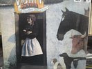 VASHTI BUNYAN - JUST ANOTHER DIAMOND DAY (2022) NEW CLEAR VINYL LP. NEW REISSUE