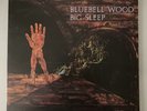LP 33T Big Sleep 