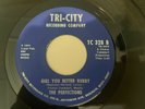 Rare Detroit Northern Soul 45/  Perfections 