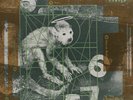 Pixies - Doolittle Vinyl LP 2004 NEW
