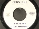 PYRAMIDS: pressure / contact CEDWICKE 7