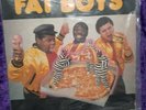 Fat Boys vinyl record album rap hip hop old school