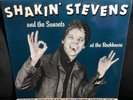SHAKIN' STEVENS AND THE SUNSETS at the rockhouse 1981 UK MAGNUM MONO VINYL LP