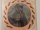 Florence + The Machine: Dance Fever. 2 LP Picture Disc