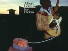 Albert Collins - Ice Pickin' [New Vinyl LP] 140 Gram Vinyl