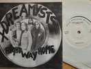 uk 45 XDREAMYSTS right way home. 1978 Good Vibrations Records GOT5