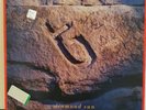 GLASS TIGER Diamond Sun 1988 LP CUTTING CREW MR. MISTER LOVERBOY RARE VINYL
