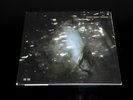 Yeah Yeah Yeahs - Is Is 2 x 7