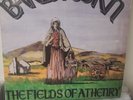 Barleycorn The Fields Of Athenry 12 Inch Vinyl Record