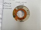 DYNO VOICE 45 RECORD/Give Her Up Baby Come Closer. Jessica James And The Outlaws