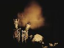 Riot Act (2 Vinyl) By Pearl Jam $42.25 - READ